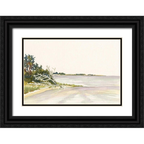 Solitary Coastline II Black Ornate Wood Framed Art Print with Double Matting by Miller, Dianne