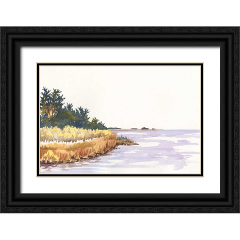 Solitary Coastline IV Black Ornate Wood Framed Art Print with Double Matting by Miller, Dianne