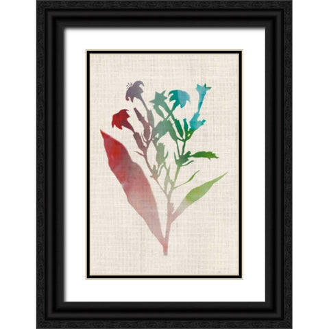 Watercolor Plants II Black Ornate Wood Framed Art Print with Double Matting by McCavitt, Naomi