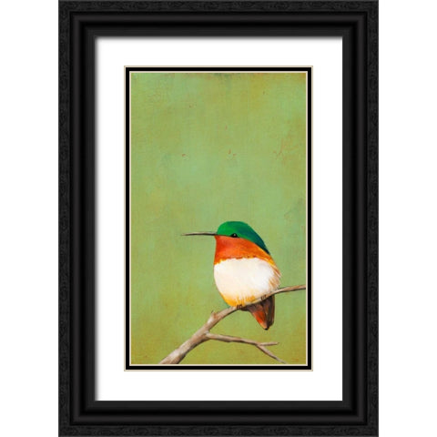 Perch III Black Ornate Wood Framed Art Print with Double Matting by Altug, Mehmet