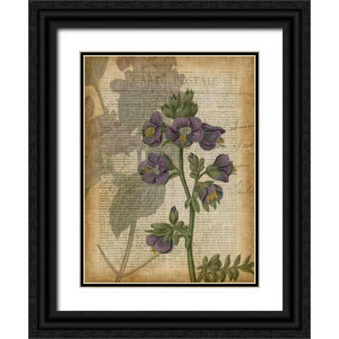Fuchsia Flowers I Black Ornate Wood Framed Art Print with Double Matting by Studio W