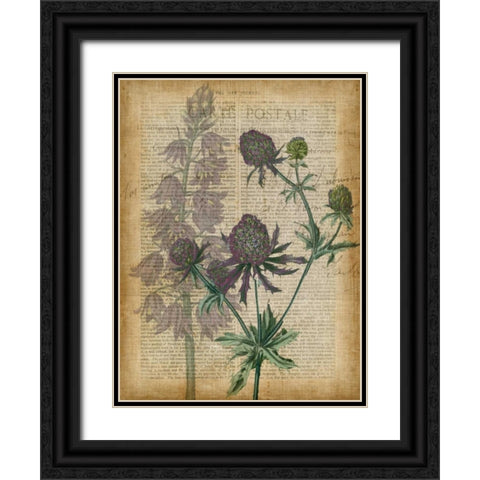 Fuchsia Flowers III Black Ornate Wood Framed Art Print with Double Matting by Studio W