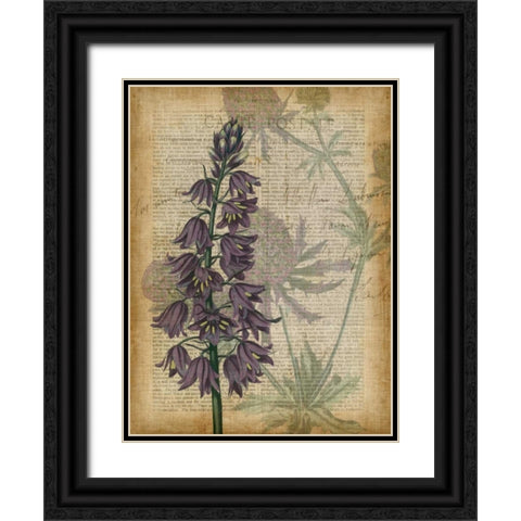 Fuchsia Flowers IV Black Ornate Wood Framed Art Print with Double Matting by Studio W