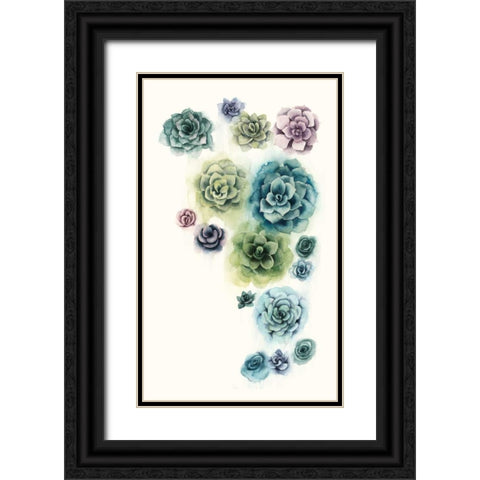Succulent Cluster I Black Ornate Wood Framed Art Print with Double Matting by Popp, Grace