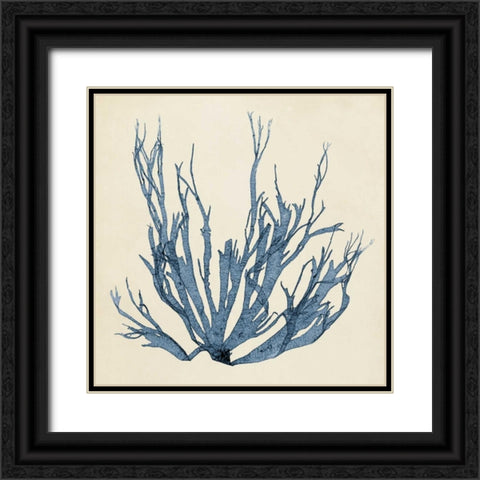 Coastal Seaweed I Black Ornate Wood Framed Art Print with Double Matting by Vision Studio