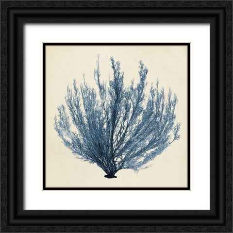 Coastal Seaweed III Black Ornate Wood Framed Art Print with Double Matting by Vision Studio