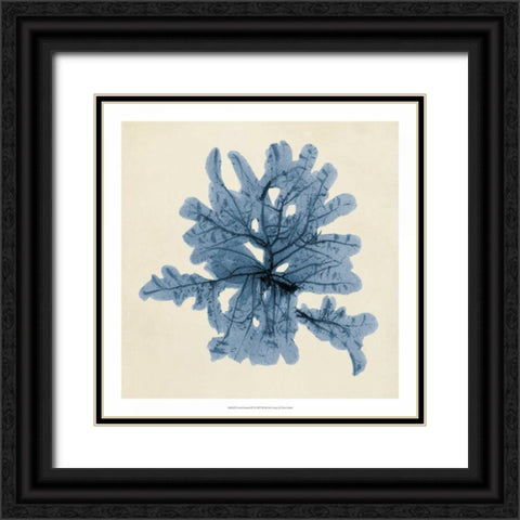 Coastal Seaweed IV Black Ornate Wood Framed Art Print with Double Matting by Vision Studio