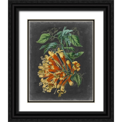 Dramatic Tropical Beauty II Black Ornate Wood Framed Art Print with Double Matting by Wiek, John