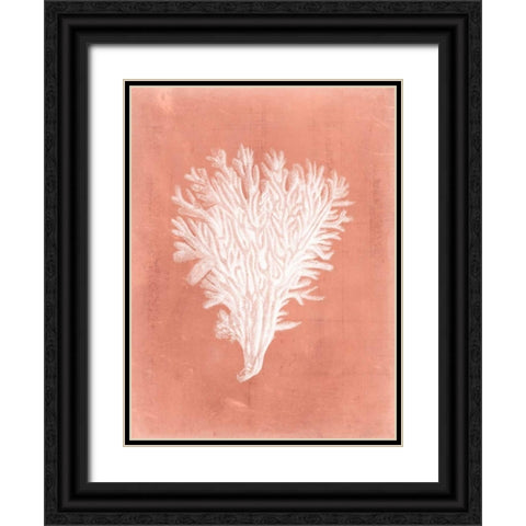 Sealife on Coral II Black Ornate Wood Framed Art Print with Double Matting by Vision Studio