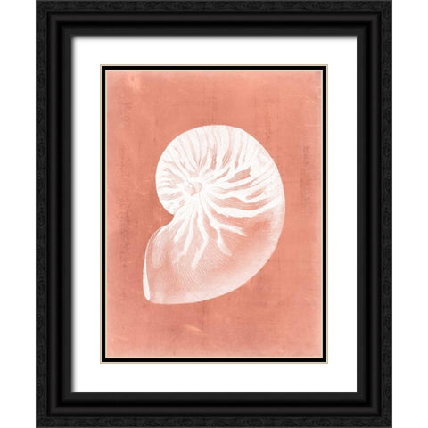 Sealife on Coral V Black Ornate Wood Framed Art Print with Double Matting by Vision Studio