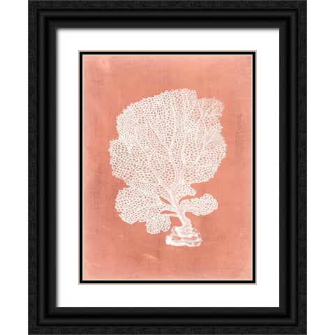 Sealife on Coral VIII Black Ornate Wood Framed Art Print with Double Matting by Vision Studio