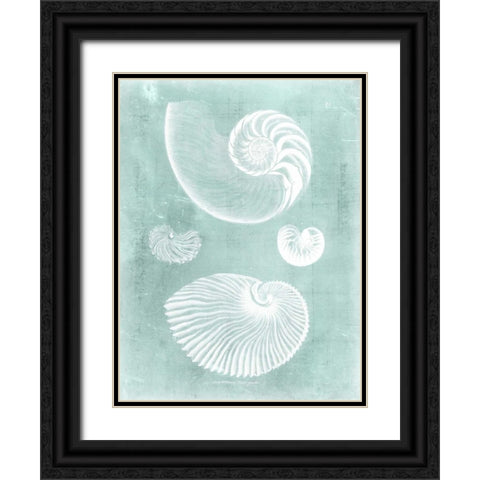 Nautilus on Spa II Black Ornate Wood Framed Art Print with Double Matting by Vision Studio