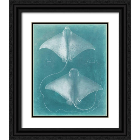 Morning Swim I Black Ornate Wood Framed Art Print with Double Matting by Vision Studio