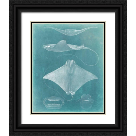 Morning Swim II Black Ornate Wood Framed Art Print with Double Matting by Vision Studio