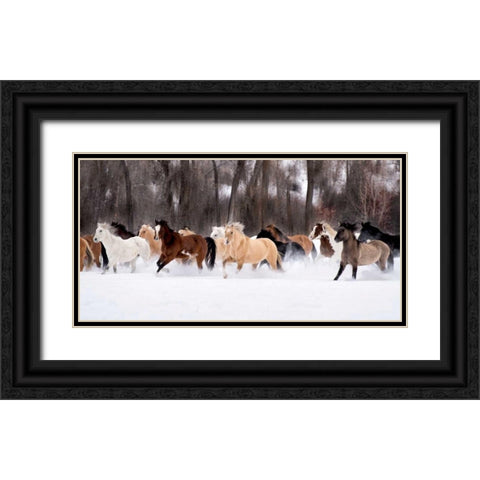 Snow Run II Black Ornate Wood Framed Art Print with Double Matting by PHBurchett