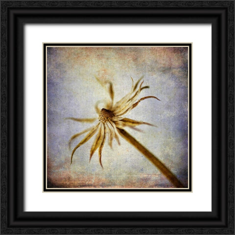 Grunge Remnants III Black Ornate Wood Framed Art Print with Double Matting by Malek, Honey