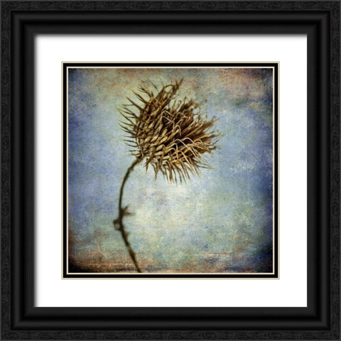 Grunge Remnants V Black Ornate Wood Framed Art Print with Double Matting by Malek, Honey