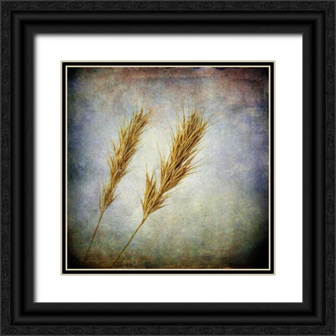 Grunge Remnants VI Black Ornate Wood Framed Art Print with Double Matting by Malek, Honey