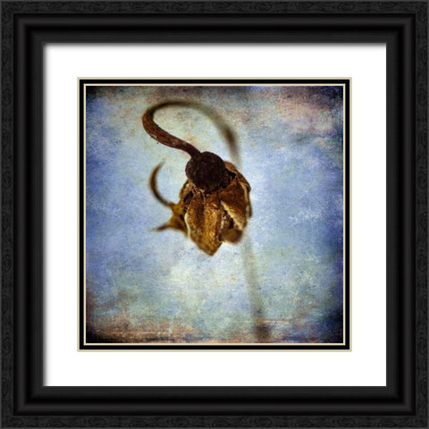 Grunge Remnants VIII Black Ornate Wood Framed Art Print with Double Matting by Malek, Honey