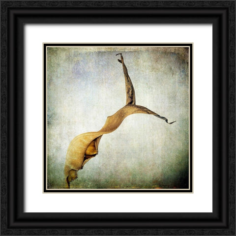 Grunge Remnants IX Black Ornate Wood Framed Art Print with Double Matting by Malek, Honey