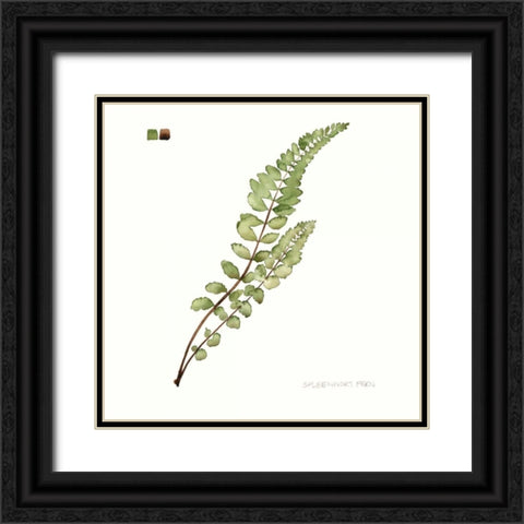 Watercolor Leaf Study I Black Ornate Wood Framed Art Print with Double Matting by Popp, Grace