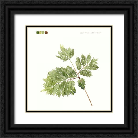 Watercolor Leaf Study II Black Ornate Wood Framed Art Print with Double Matting by Popp, Grace