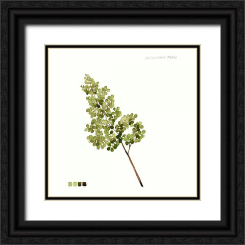 Watercolor Leaf Study III Black Ornate Wood Framed Art Print with Double Matting by Popp, Grace