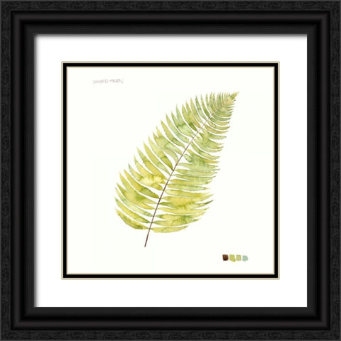 Watercolor Leaf Study IV Black Ornate Wood Framed Art Print with Double Matting by Popp, Grace