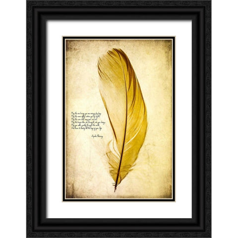Feather in Color IV Black Ornate Wood Framed Art Print with Double Matting by Malek, Honey