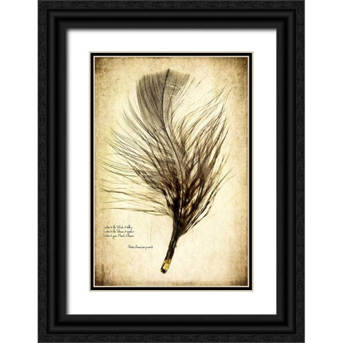 Feather on the Wind II Black Ornate Wood Framed Art Print with Double Matting by Malek, Honey