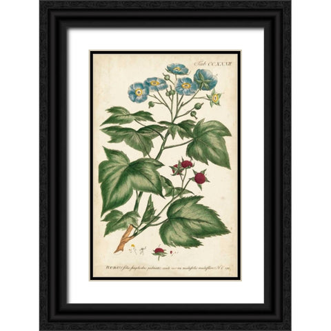 Chambray Botanical I Black Ornate Wood Framed Art Print with Double Matting by Miller, Dianne