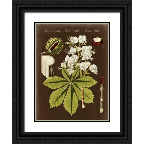 Chestnut on Suede Black Ornate Wood Framed Art Print with Double Matting by Vision Studio