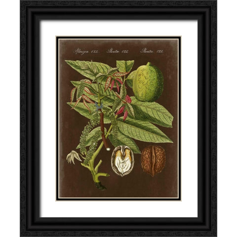 Walnut on Suede Black Ornate Wood Framed Art Print with Double Matting by Vision Studio