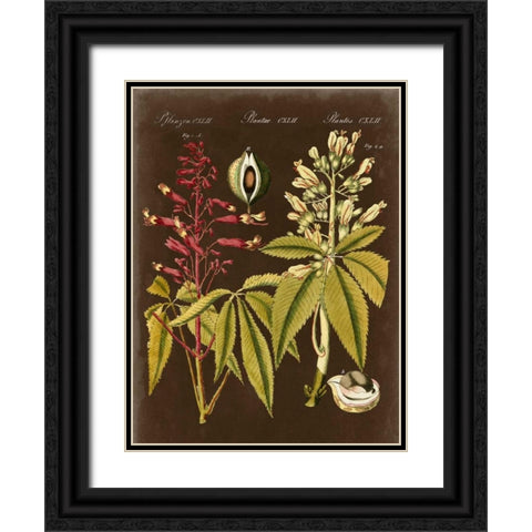 Buckeye on Suede Black Ornate Wood Framed Art Print with Double Matting by Vision Studio