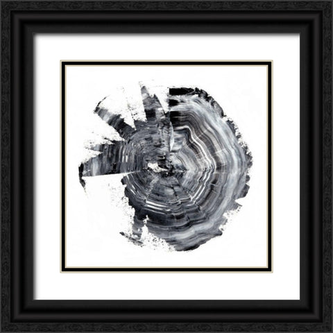 Tree Ring Abstract II Black Ornate Wood Framed Art Print with Double Matting by Harper, Ethan