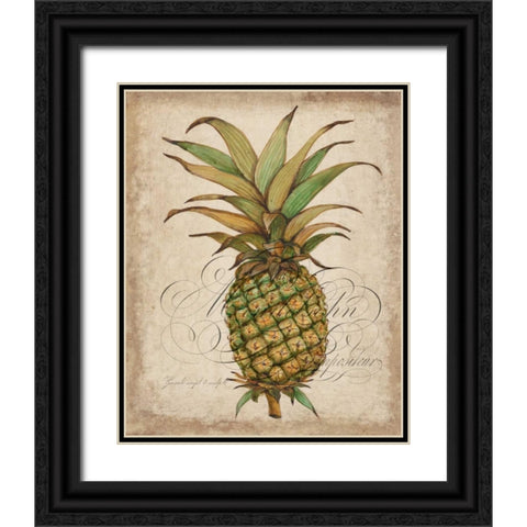 Pineapple Study I Black Ornate Wood Framed Art Print with Double Matting by OToole, Tim