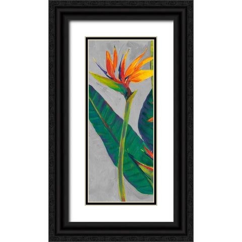 Bird of Paradise Triptych I Black Ornate Wood Framed Art Print with Double Matting by OToole, Tim