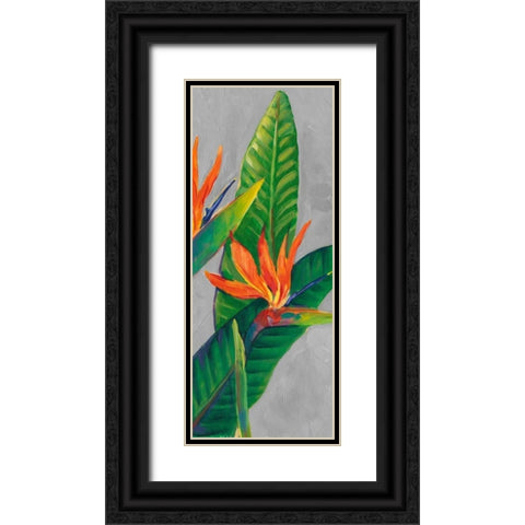 Bird of Paradise Triptych III Black Ornate Wood Framed Art Print with Double Matting by OToole, Tim