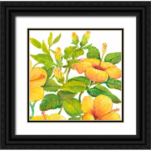 Watercolor Hibiscus II Black Ornate Wood Framed Art Print with Double Matting by OToole, Tim