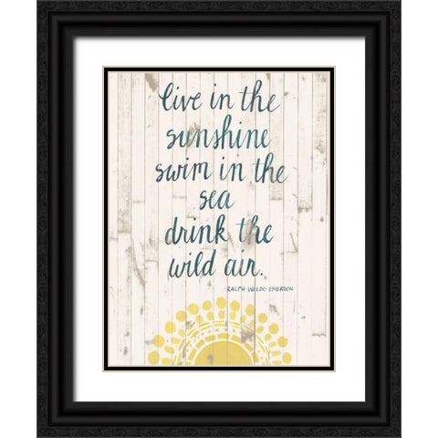Sun Quote IV Black Ornate Wood Framed Art Print with Double Matting by Popp, Grace