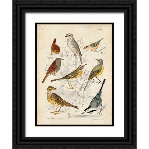 Gathering of Birds I Black Ornate Wood Framed Art Print with Double Matting by Lubbert, G.