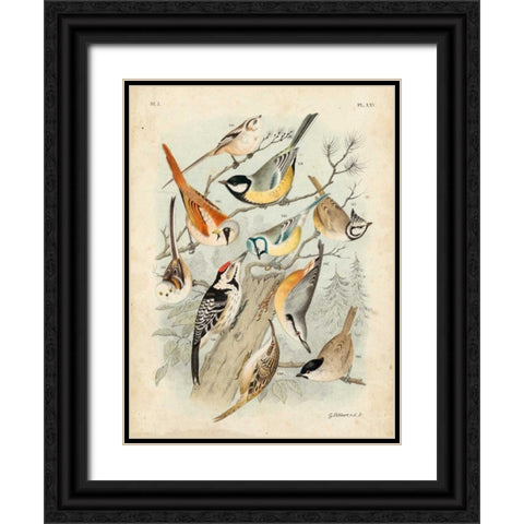 Gathering of Birds II Black Ornate Wood Framed Art Print with Double Matting by Lubbert, G.