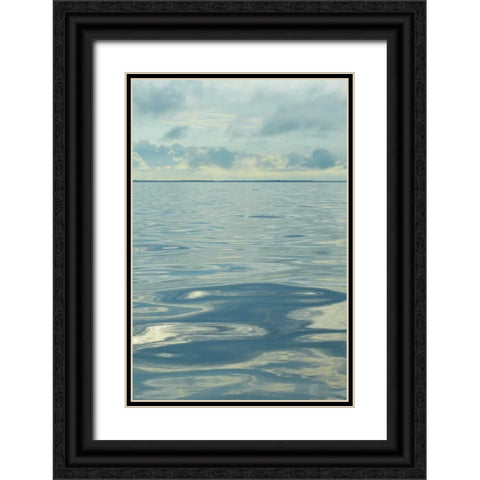 Water I Black Ornate Wood Framed Art Print with Double Matting by Chandler, Sharon