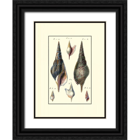 Custom Sea Shell III Black Ornate Wood Framed Art Print with Double Matting by Diderot