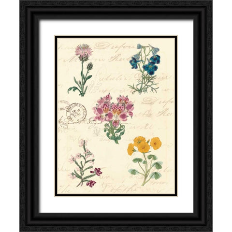 Botanical Journal I Black Ornate Wood Framed Art Print with Double Matting by Vision Studio