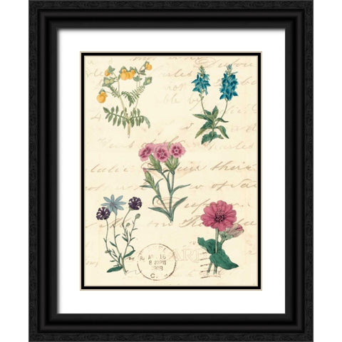 Botanical Journal III Black Ornate Wood Framed Art Print with Double Matting by Vision Studio