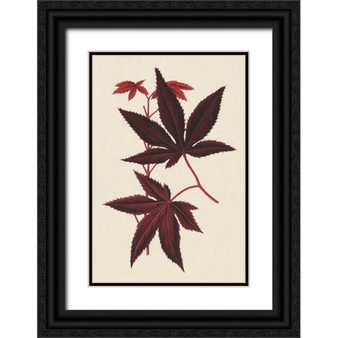 Japanese Maple Leaves I Black Ornate Wood Framed Art Print with Double Matting by Stroobant