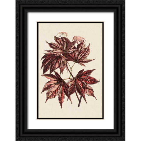 Japanese Maple Leaves II Black Ornate Wood Framed Art Print with Double Matting by Stroobant