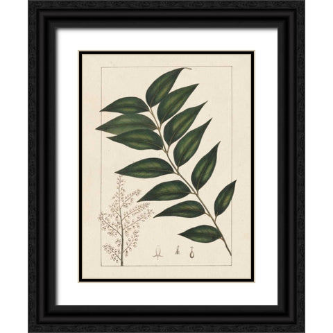 Silva Leaves III Black Ornate Wood Framed Art Print with Double Matting by Silva, John