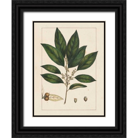 Silva Leaves IV Black Ornate Wood Framed Art Print with Double Matting by Silva, John